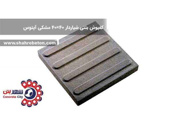 Shahrebeton-Concrete-paver-blind-sh-40-40-Gray-aptus